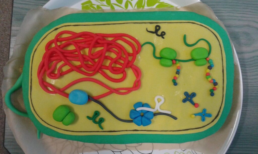Ciasto przedstawiające bakterię E. coli